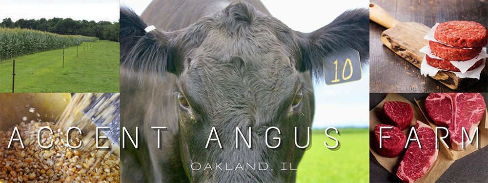 Welcome to Accent Angus Farm!