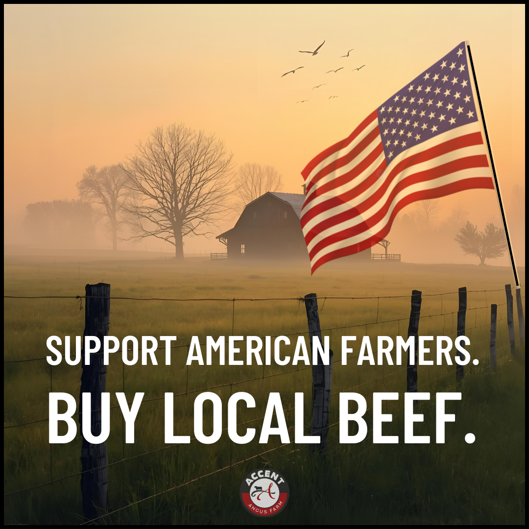 Opinion: What the Talk of Importing Argentine Beef Really Means for American Farmers and You