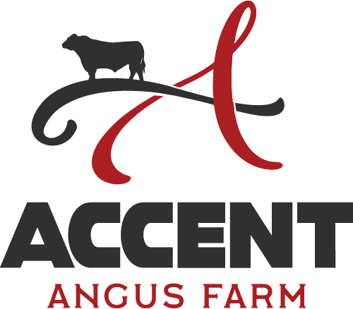 Accent Angus Farm